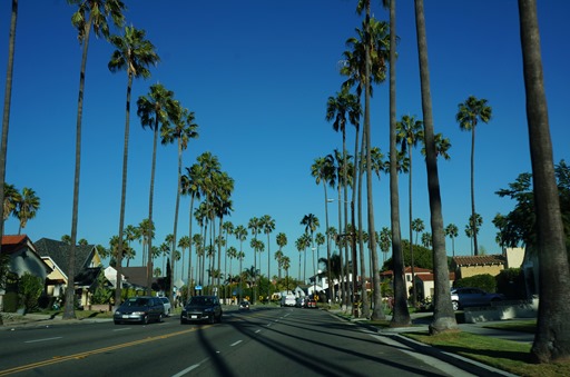 DSC07783