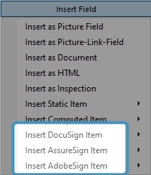 Insert e-Signing Items