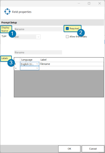 The Prompt Setup window