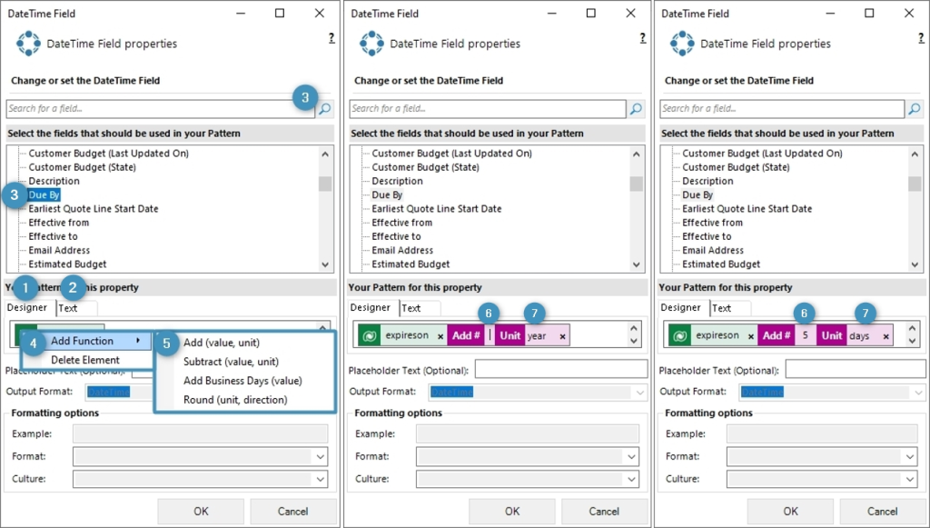 The various options and functions of the DateTime Field properties window