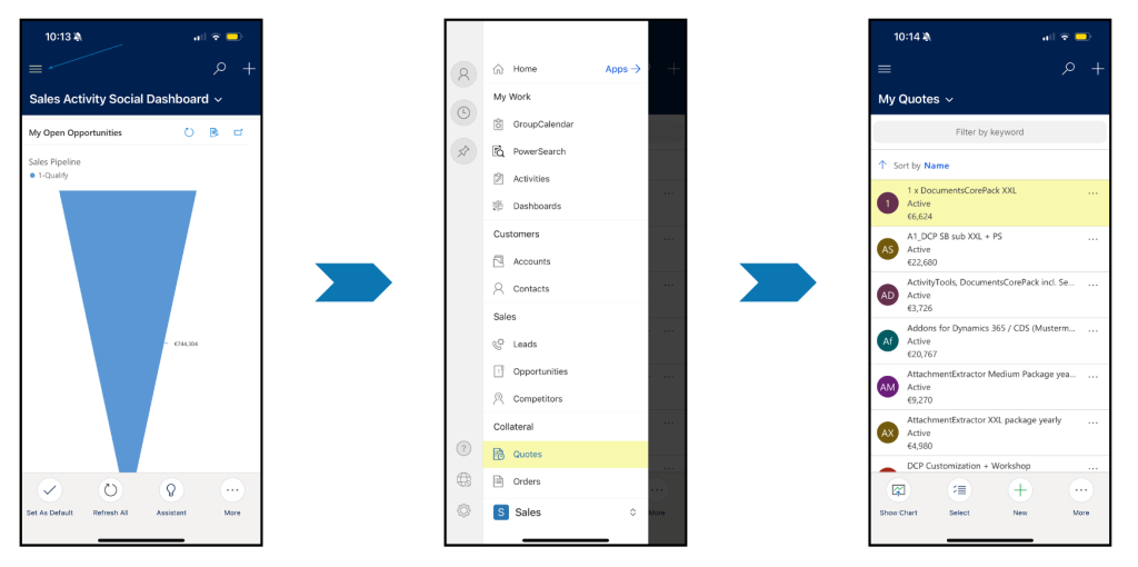Open an entity and record (in this example) a Quote record