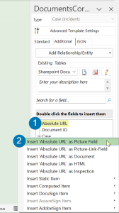 Insert the Absolute URL as a Picture Field