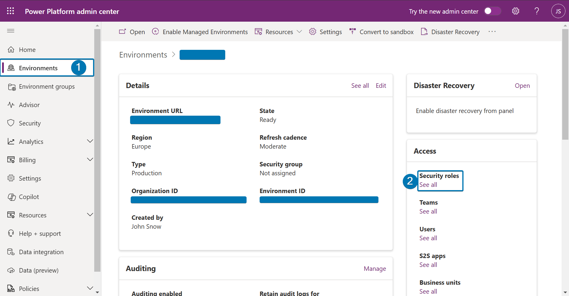 Open an environment and then select "see all" under "Access"