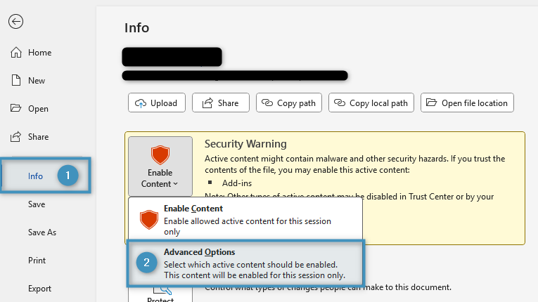 Navigating to the Advanced Options dialog under Security